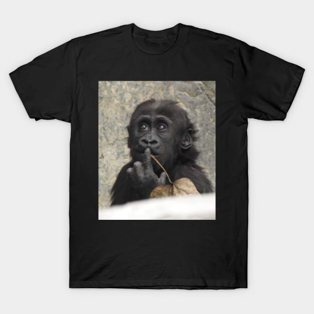 Western Lowland Gorilla baby T-Shirt by Sharonzoolady